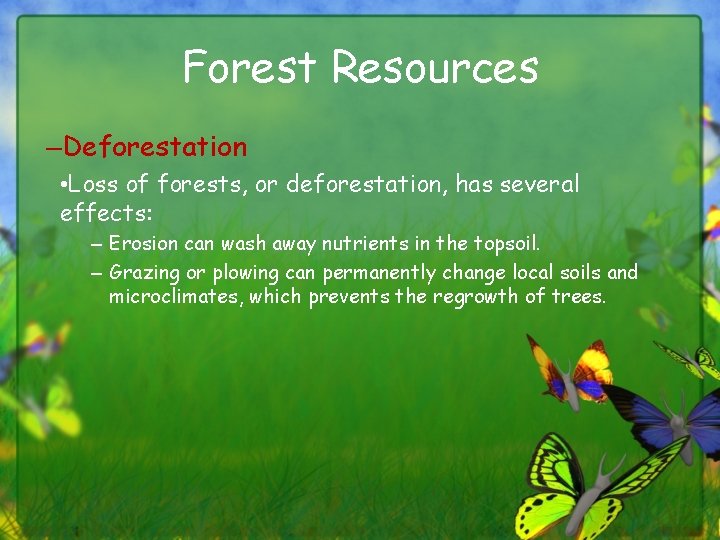 Forest Resources –Deforestation • Loss of forests, or deforestation, has several effects: – Erosion