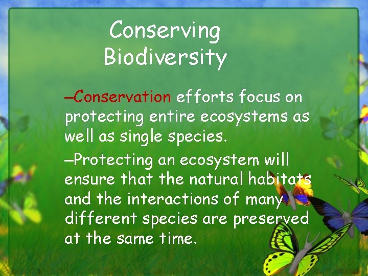 Conserving Biodiversity –Conservation efforts focus on protecting entire ecosystems as well as single species.