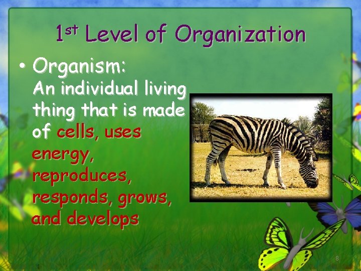 1 st Level of Organization • Organism: An individual living that is made of