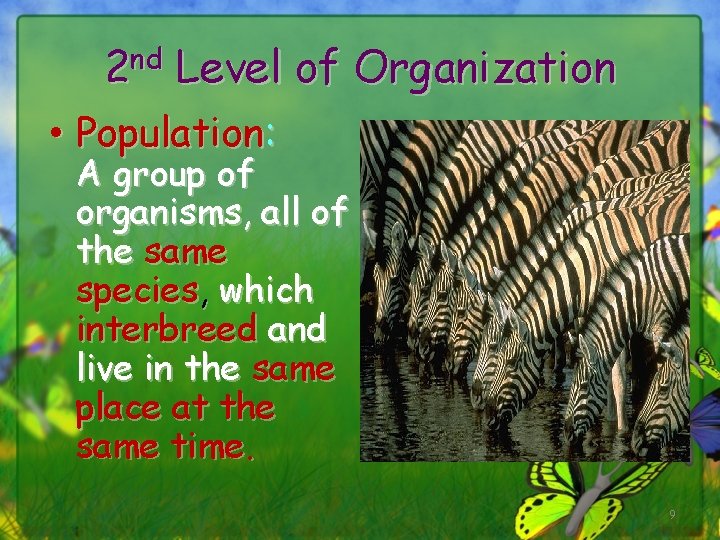 2 nd Level of Organization • Population: A group of organisms, all of the