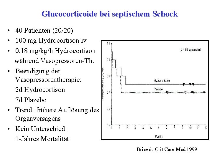 Glucocorticoide bei septischem Schock • 40 Patienten (20/20) • 100 mg Hydrocortison iv •