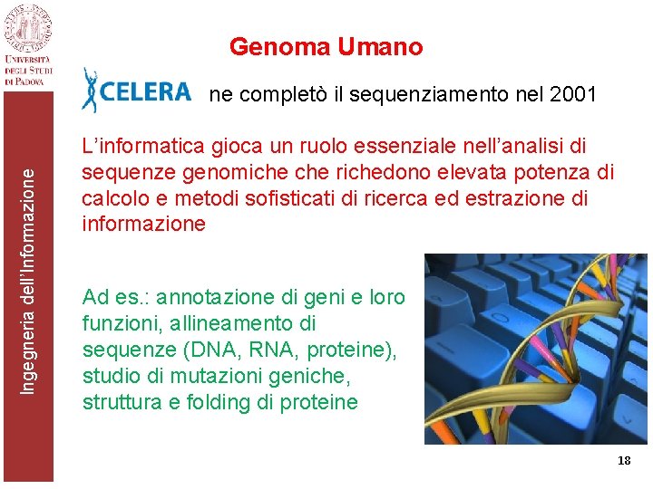 Genoma Umano Ingegneria dell’Informazione ne completò il sequenziamento nel 2001 L’informatica gioca un ruolo
