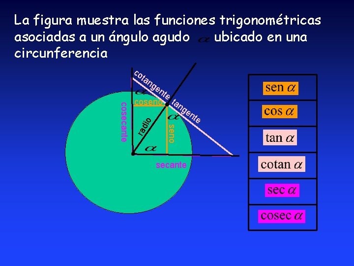 La figura muestra las funciones trigonométricas asociadas a un ángulo agudo ubicado en una