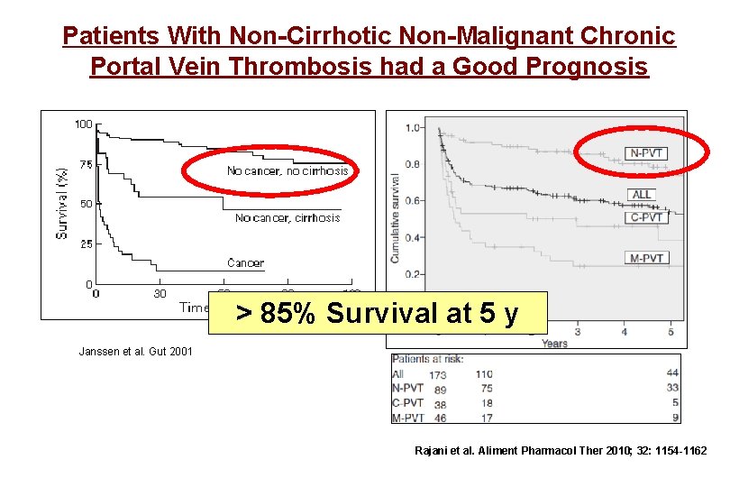 Patients With Non-Cirrhotic Non-Malignant Chronic Portal Vein Thrombosis had a Good Prognosis > 85%