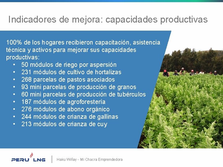 Indicadores de mejora: capacidades productivas 100% de los hogares recibieron capacitación, asistencia técnica y