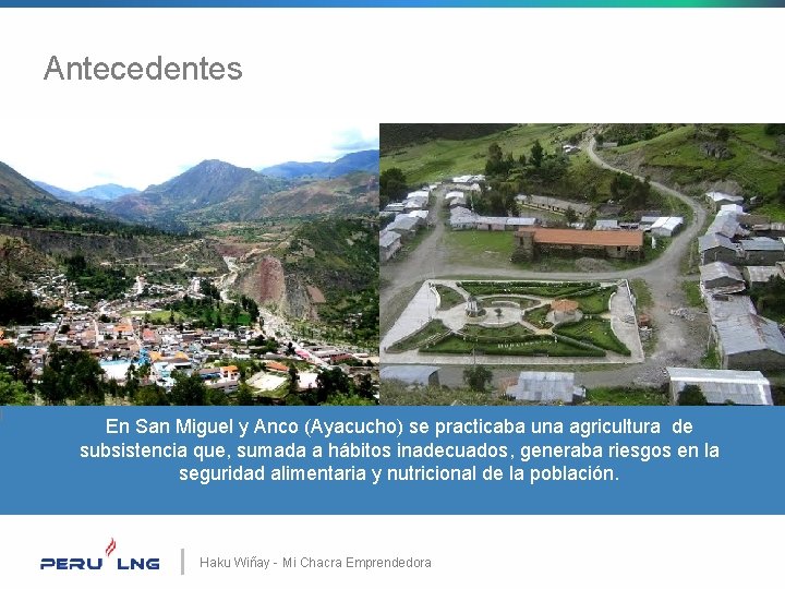 | Antecedentes En San Miguel y Anco (Ayacucho) se practicaba una agricultura de subsistencia