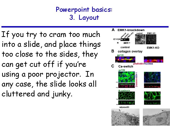 Powerpoint basics: 3. Layout If you try to cram too much into a slide,