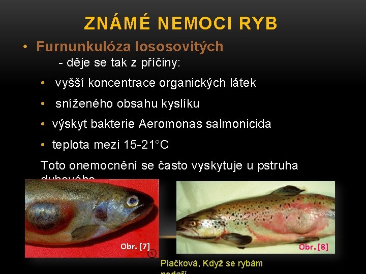 ZNÁMÉ NEMOCI RYB • Furnunkulóza lososovitých - děje se tak z příčiny: • vyšší