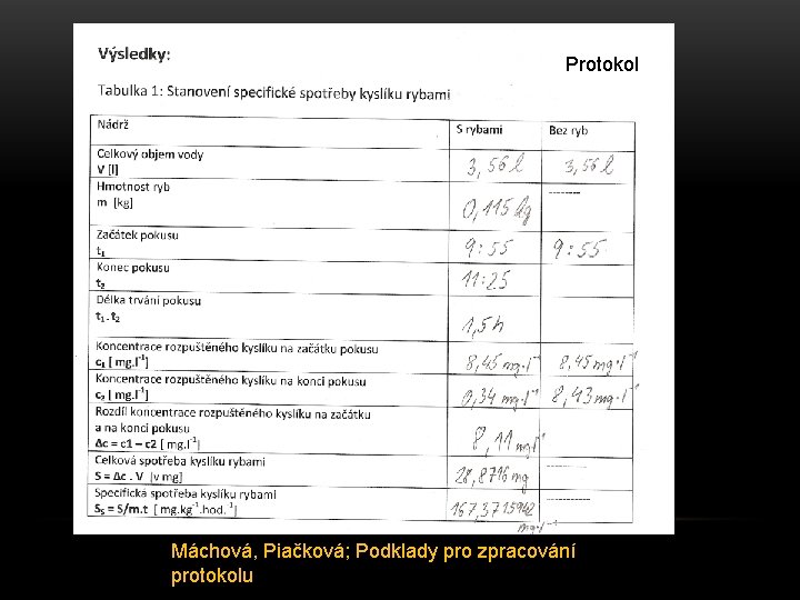 Protokol Máchová, Piačková; Podklady pro zpracování protokolu 