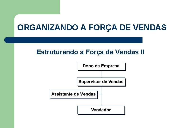 ORGANIZANDO A FORÇA DE VENDAS Estruturando a Força de Vendas II 