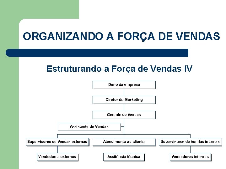 ORGANIZANDO A FORÇA DE VENDAS Estruturando a Força de Vendas IV 