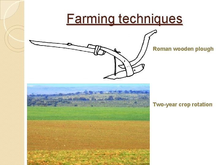 Farming techniques Roman wooden plough Two-year crop rotation 