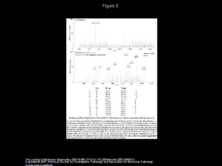 Figure 5 The Journal of Molecular Diagnostics 2007 9169 -177 DOI: (10. 2353/jmoldx. 2007.