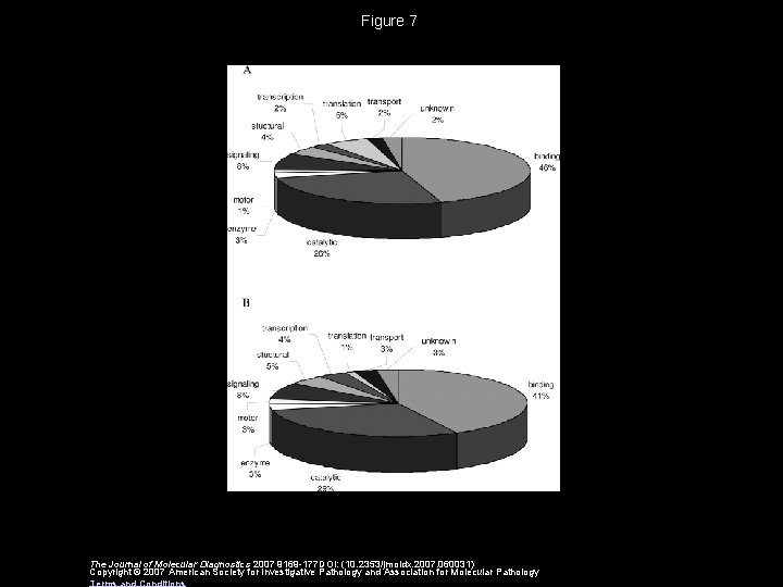 Figure 7 The Journal of Molecular Diagnostics 2007 9169 -177 DOI: (10. 2353/jmoldx. 2007. Figure 7 The Journal of Molecular Diagnostics 2007 9169 -177 DOI: (10. 2353/jmoldx. 2007.