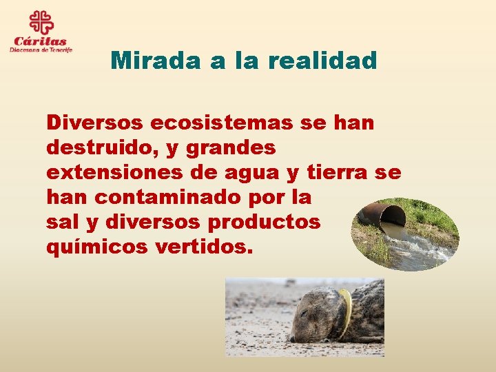 Mirada a la realidad Diversos ecosistemas se han destruido, y grandes extensiones de agua