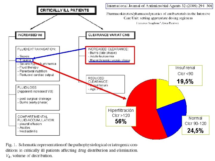 Insuf renal Clcr <90 19, 5% Hiperfiltración Clcr >120 56% Normal Clcr 90 -120