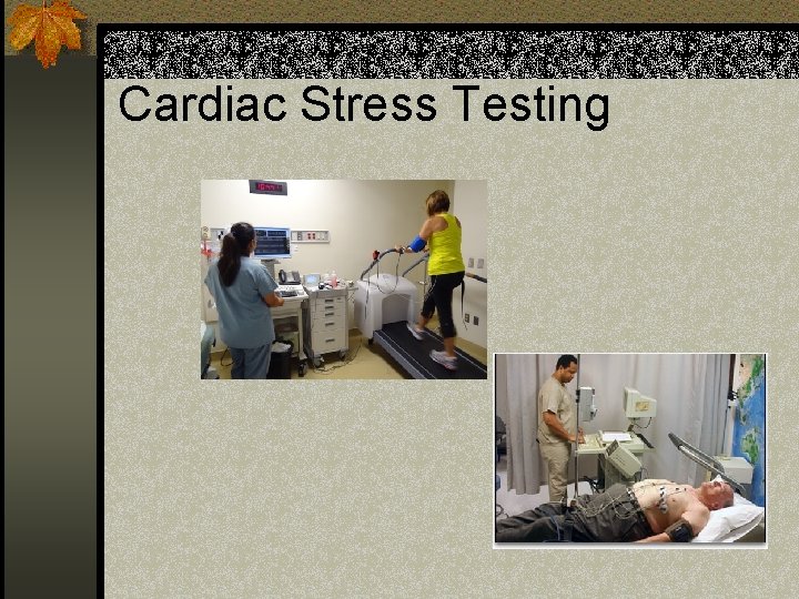 Cardiac Stress Testing 