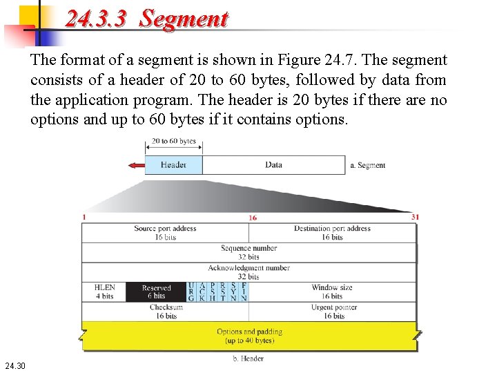 24. 3. 3 Segment The format of a segment is shown in Figure 24.