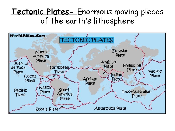 Tectonic Plates- Enormous moving pieces of the earth’s lithosphere 