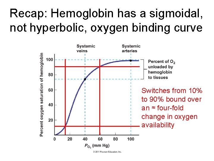 Recap: Hemoglobin has a sigmoidal, not hyperbolic, oxygen binding curve Switches from 10% to