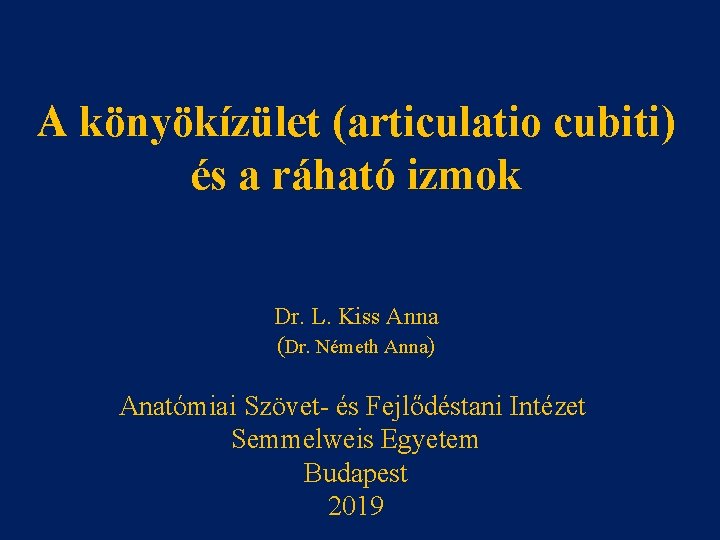 A könyökízület (articulatio cubiti) és a ráható izmok Dr. L. Kiss Anna (Dr. Németh