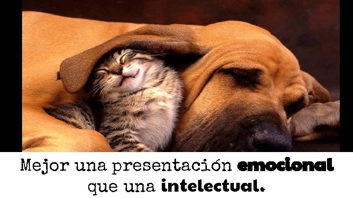 Mejor una presentación emocional que una intelectual. Mejor una presentación emocional que una intelectual.