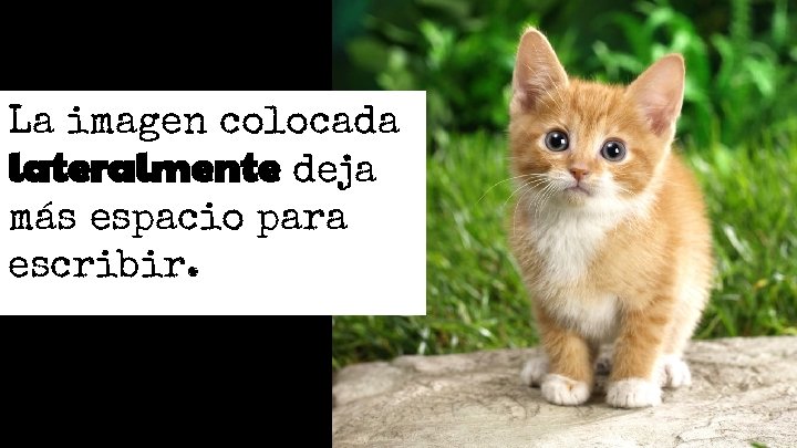 La imagen colocada lateralmente deja más espacio para escribir. La imagen colocada lateralmente deja más espacio para escribir.