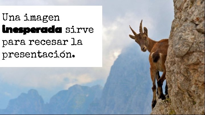 Una imagen inesperada sirve para recesar la presentación. Una imagen inesperada sirve para recesar la presentación.