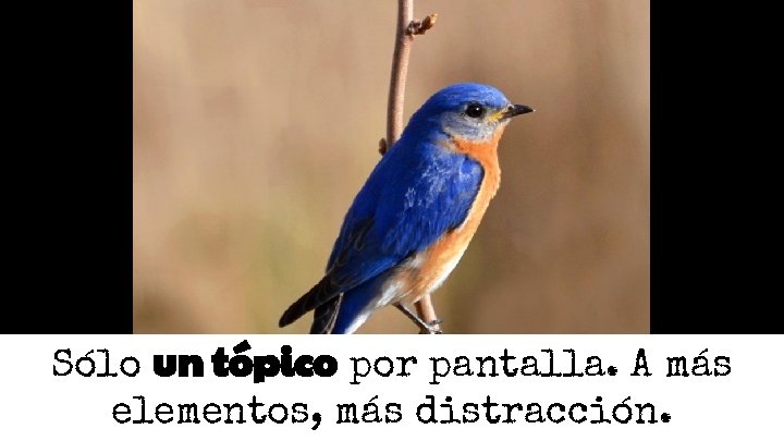 Sólo un tópico por pantalla. A más elementos, más distracción. Sólo un tópico por pantalla. A más elementos, más distracción.