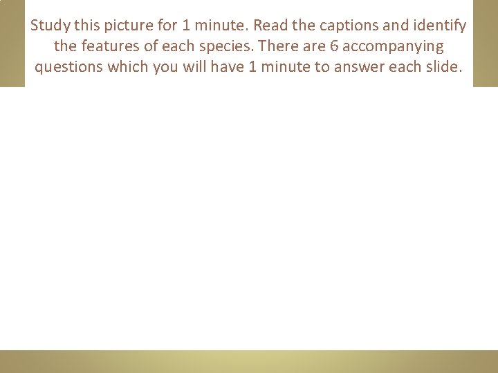 Study this picture for 1 minute. Read the captions and identify the features of Study this picture for 1 minute. Read the captions and identify the features of