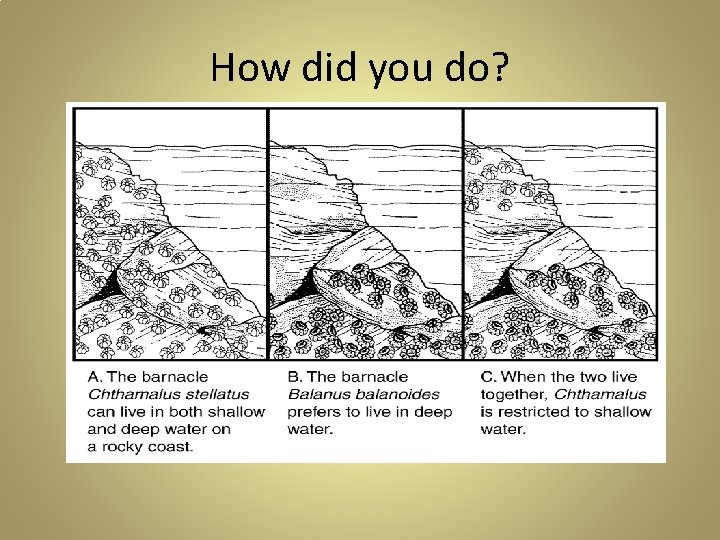 How did you do? How did you do?