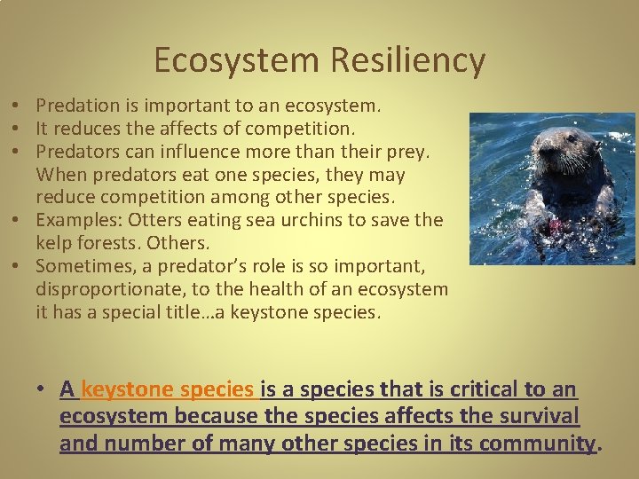 Ecosystem Resiliency • Predation is important to an ecosystem. • It reduces the affects Ecosystem Resiliency • Predation is important to an ecosystem. • It reduces the affects