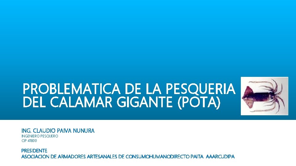 PROBLEMATICA DE LA PESQUERIA DEL CALAMAR GIGANTE (POTA) ING. CLAUDIO PAIVA NUNURA INGENIERO PESQUERO