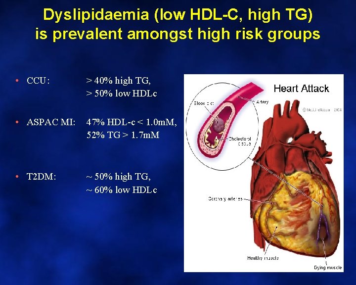 Dyslipidaemia (low HDL-C, high TG) is prevalent amongst high risk groups • CCU: >
