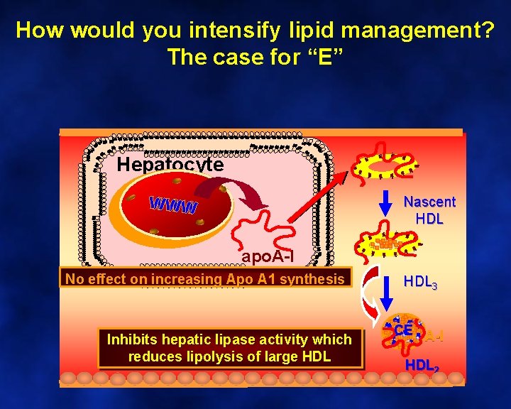 How would you intensify lipid management? The case for “E” Hepatocyte Nascent HDL apo.