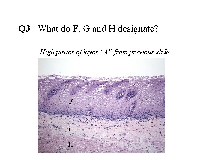 Q 3 What do F, G and H designate? High power of layer “A”