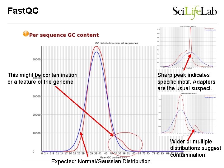 Fast. QC This might be contamination or a feature of the genome Sharp peak