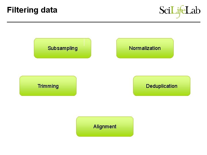Filtering data Subsampling Normalization Trimming Deduplication Alignment 