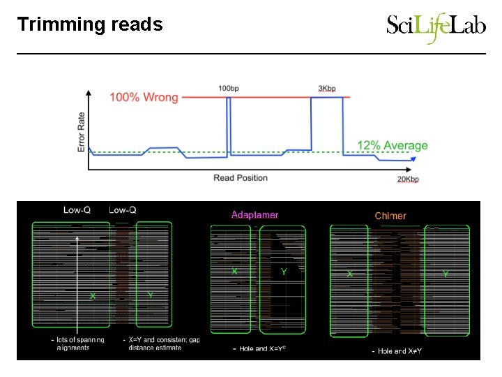 Trimming reads 