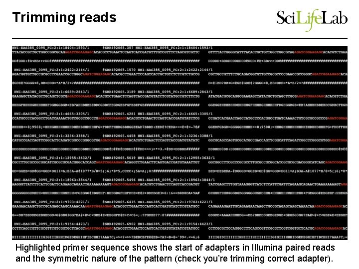 Trimming reads Highlighted primer sequence shows the start of adapters in Illumina paired reads