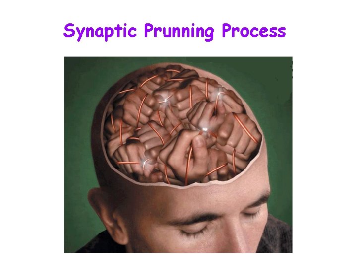 Synaptic Prunning Process 