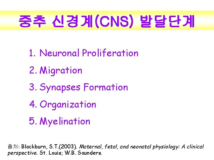 중추 신경계(CNS) 발달단계 1. Neuronal Proliferation 2. Migration 3. Synapses Formation 4. Organization 5.