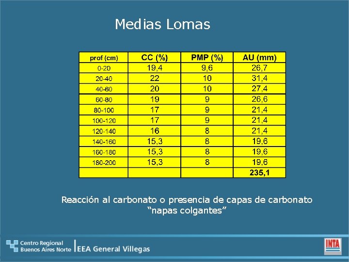 Medias Lomas Reacción al carbonato o presencia de capas de carbonato “napas colgantes” 