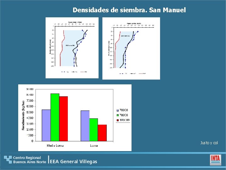 Densidades de siembra. San Manuel Justo y col 