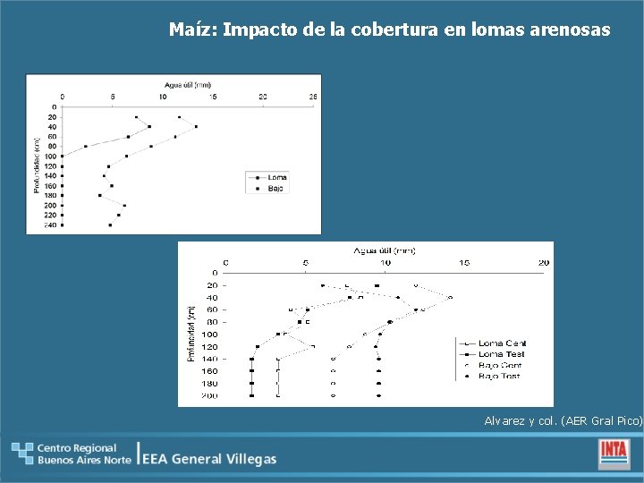 Maíz: Impacto de la cobertura en lomas arenosas Alvarez y col. (AER Gral Pico)