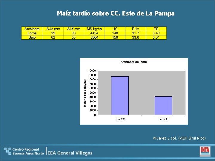 Maíz tardío sobre CC. Este de La Pampa Alvarez y col. (AER Gral Pico)