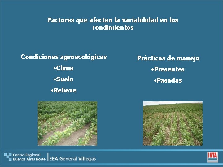 Factores que afectan la variabilidad en los rendimientos Condiciones agroecológicas Prácticas de manejo •