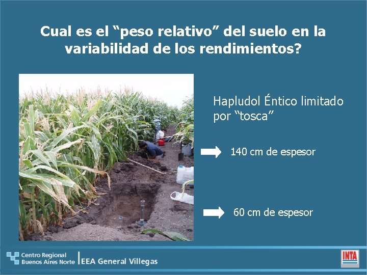 Cual es el “peso relativo” del suelo en la variabilidad de los rendimientos? Hapludol