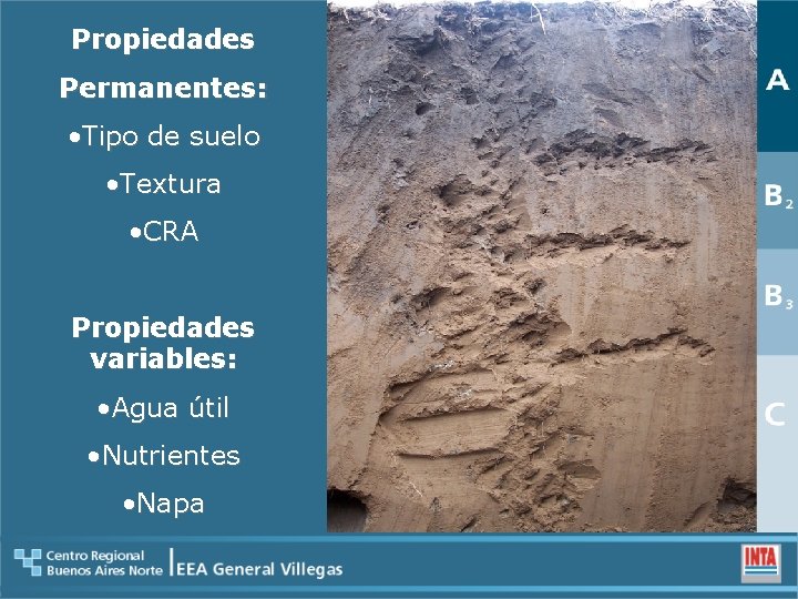 Propiedades Permanentes: • Tipo de suelo • Textura • CRA Propiedades variables: • Agua