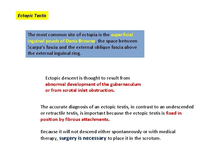 Ectopic Testis The most common site of ectopia is the superficial inguinal pouch of Ectopic Testis The most common site of ectopia is the superficial inguinal pouch of